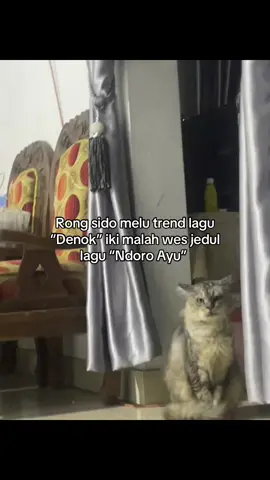 Iki renek sek meh gae ke po😭 #fyp #trend #fyppppppppppppppppppppppp #galaubrutal 