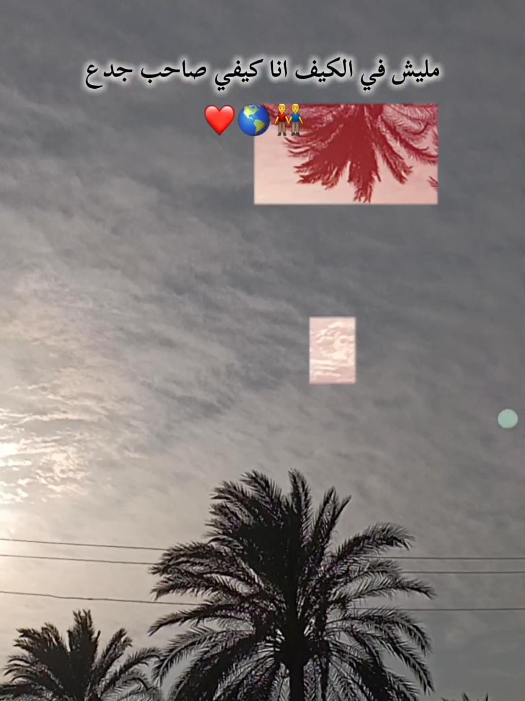 ربنا يخليك ليا يا نور عينيا اخويا اللي طلعت بيه من الدنيا#اخوك ##محمد #سلطان ❤️🫵🏼🫵🏼👬👬👬👬👬👬👬❤️❤️❤️❤️❤️