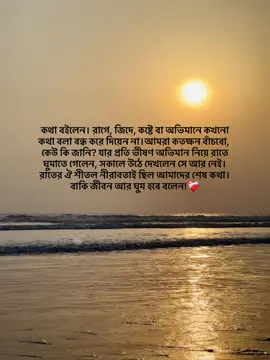 কথা বইলেন। রাগে, জিদে, কষ্টে বা অভিমানে কখনো কথা বলা বন্ধ করে দিয়েন না।আমরা কতক্ষন বাঁচবো, কেউ কি জানি? যার প্রতি ভীষণ অভিমান নিয়ে রাতে ঘুমাতে গেলেন, সকালে উঠে দেখলেন সে আর নেই।রাতের ঐ শীতল নীরাবতাই ছিল আমাদের শেষ কথা। বাকি জীবন আর ঘুম হবে বলেন!❤️‍🩹#fyp #fyppppppppppppppppppppppp #foryou 