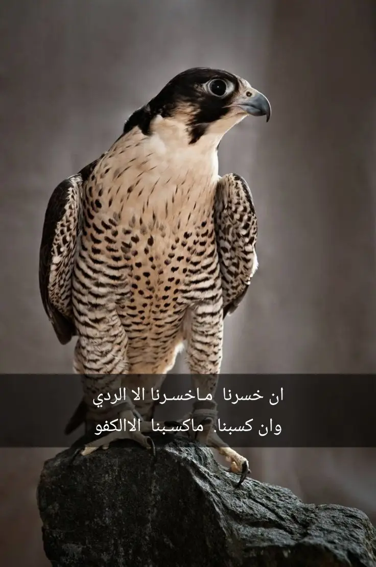 عبارات حماسية فخمه