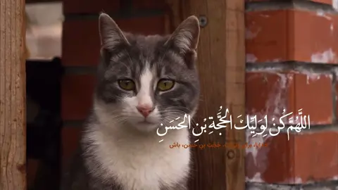 أنشـر الفيديو بنية تسهَيل الامور ولتعجيل ظهور أمام زماننا 🤍#بغداد #العراق #دعاء #الفرج #الامام_المهدي 