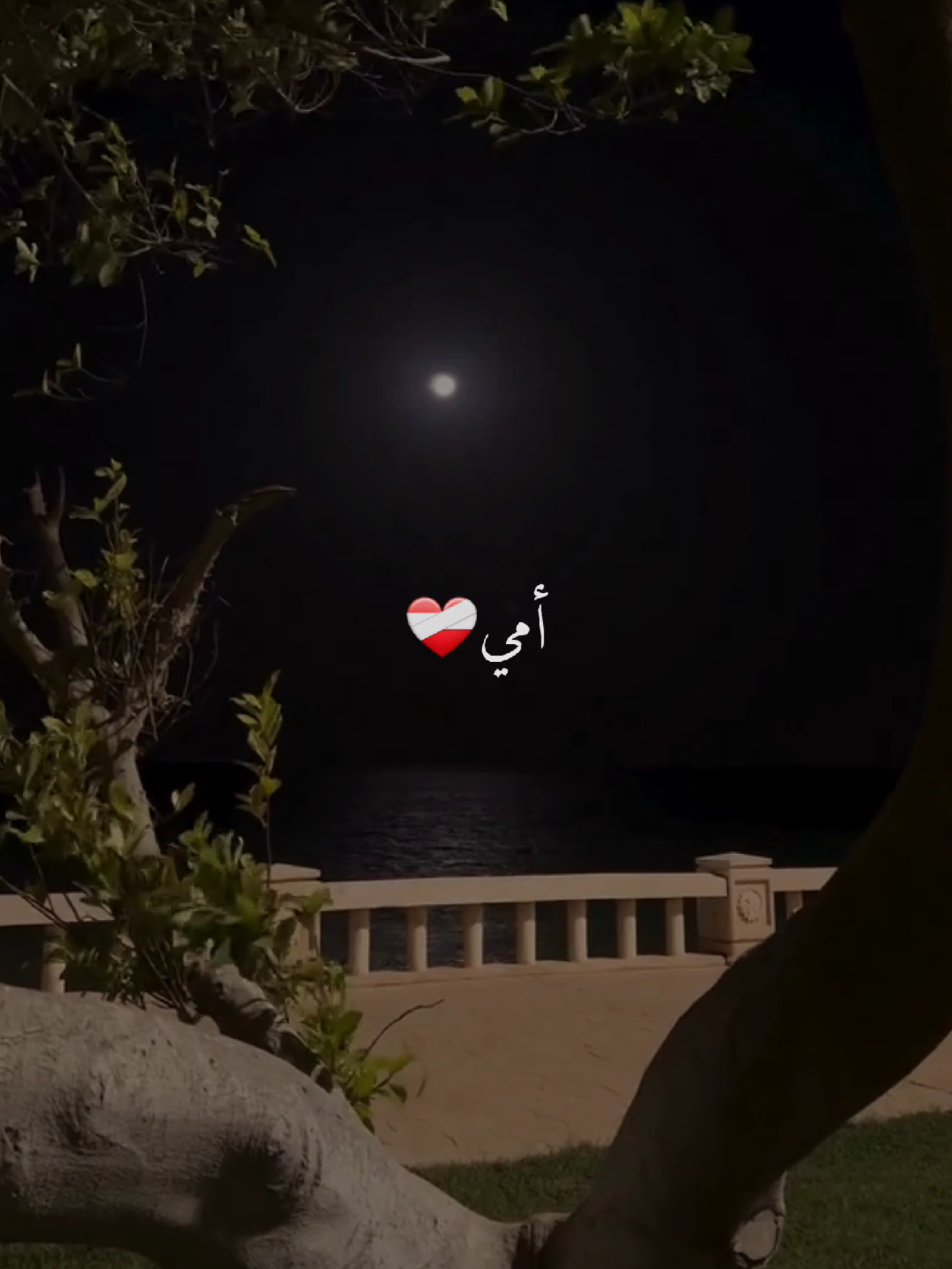 #أمي #دعاء #mum  #اللهم_صلي_على_نبينا_محمد  #quran 