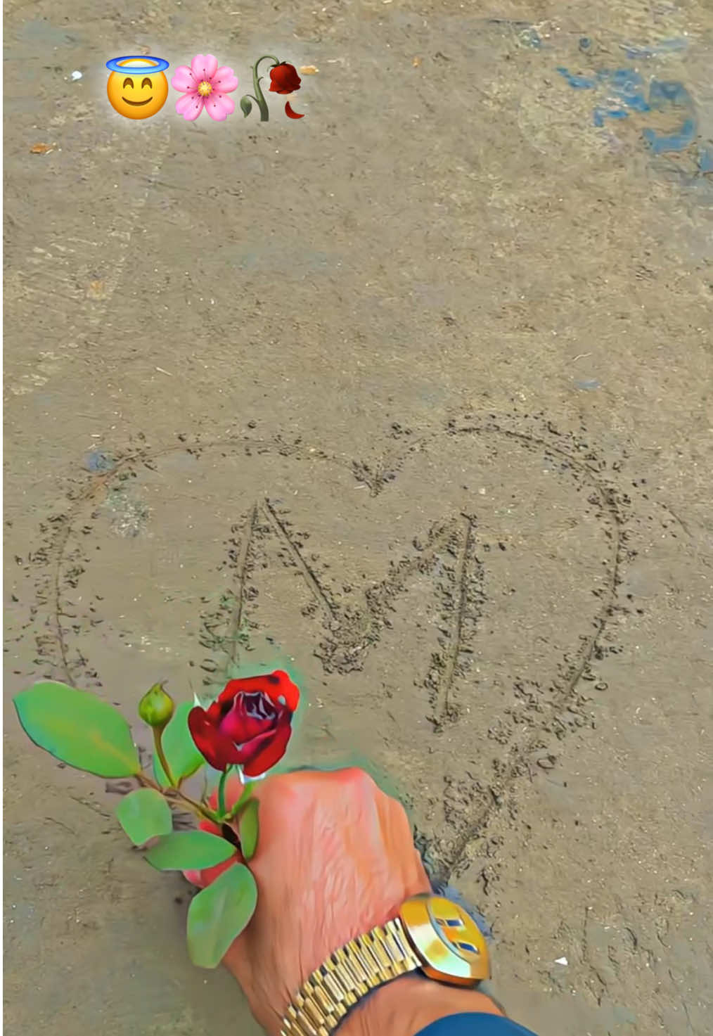 Hyee🌸🥀#viral #viralvideo #pohtopoetry #standwithkashmir #foryou 