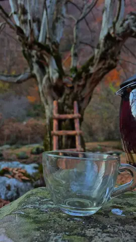 #su #alov #od #fypシ゚ #huzur 