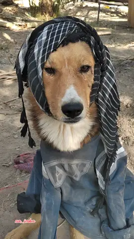 اذا اجة علة بالك شخص دزة الة #العوز يتعب #الشعب_الصيني_ماله_حل😂😂 #ترند #الشعب_الصيني_ماله_حل😂😂 #الشعب_الصيني_ماله_حل😂😂 