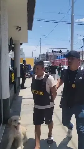 #Santa || POLICÍA CAPTURA A DOS SUJETOS INVOLUCRADOS EN EXTORSIÓN Y RECEPTACIÓN EN SANTA En una rápida y efectiva acción policial, agentes de la DEPINCRI Chimbote, perteneciente a la Región Policial Áncash, lograron la captura de dos personas implicadas en delitos de extorsión agravada y receptación, tras un paciente trabajo de inteligencia y el cruce de información con el sistema RENTESEG-OSIPTEL. El operativo se desarrolló en la avenida Javier Heraud, en el distrito de Santa, donde fue intervenido Stefan Jhosimar Vega Burga (33), investigado por el delito contra el patrimonio – extorsión agravada y por el delito contra la propiedad industrial – posesión ilegítima de una SIM card y otros medios activados asociados a líneas de servicio móvil. Durante la misma acción, también fue detenido Luis Ángel Lino Castillo (23), quien estaría implicado en el delito contra el patrimonio – receptación. Las detenciones se produjeron como resultado de las investigaciones iniciadas tras la denuncia de un empresario dueño de un restaurante, quien había sido víctima de llamadas extorsivas. Mediante el cruce de información tecnológica, se determinó que el número utilizado para las amenazas estaba vinculado al IMEI 866083073039165, lo que permitió identificar y ubicar al responsable del equipo móvil. En el registro personal se incautaron dos teléfonos celulares:  • Un (01) equipo ZTE color celeste, con chip Entel, en regular estado de conservación.  • Un (01) equipo HTC color plomo oscuro, con IMEI N.º 358780072652469 (reportado como sustraído), que contenía un microchip de la línea Claro. Tanto los detenidos como los objetos incautados fueron puestos a disposición de la Fiscalía Mixta de Santa, para continuar con las diligencias correspondientes conforme a ley. La Región Policial Áncash reiteró su compromiso de mantener acciones firmes contra la delincuencia y reforzar la seguridad ciudadana en toda la región.