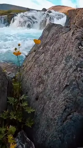 #ذكري عابره #fyp #