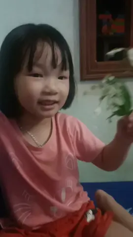 ❤️❤️❤️❤️❤️