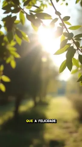 A felicidade não é um destino #mentalidade #filosofia #relfexao #reflexaododia 
