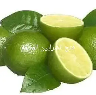 #المغرب🇲🇦تونس🇹🇳الجزائر🇩🇿 #JustGoLIVE #PaidPartnership 