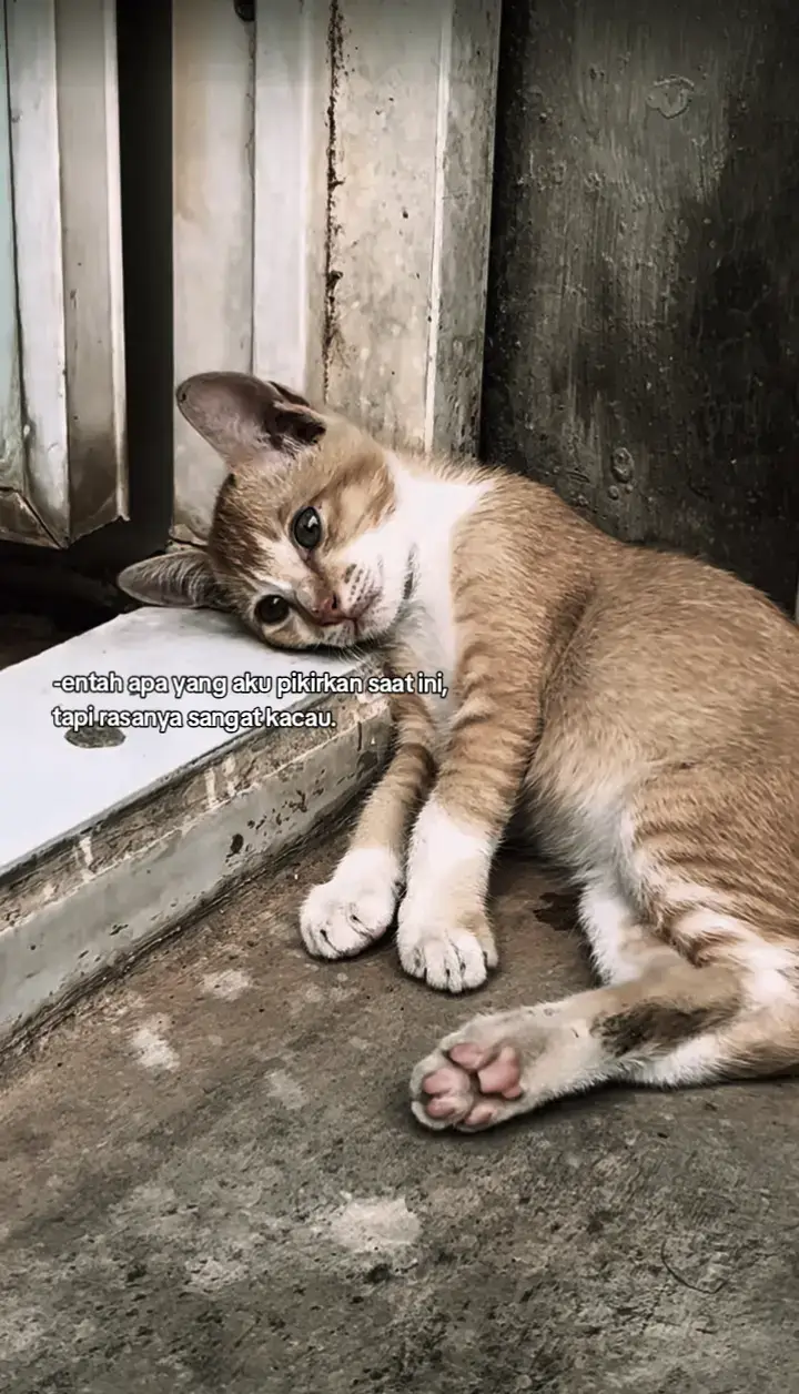 #4u #beranda #sadstory 