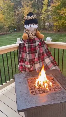 The warmth of the flames 🔥  #fyp #relax #unwind