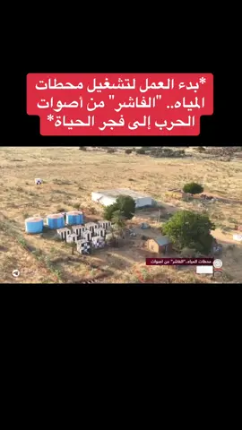 #حكومه #السلام #تاسيس #creatorsearchinsights 