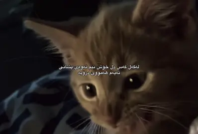 ئا#foryou #foryoupage #fyp #d3355.a