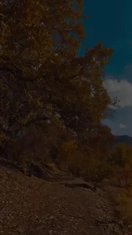 جوینی تیلیگرام بن لینک لە بیوی تیک تۆکە. #وتە #ic_s0ra #malli_xwanasan1 #pageforyou #foryou 