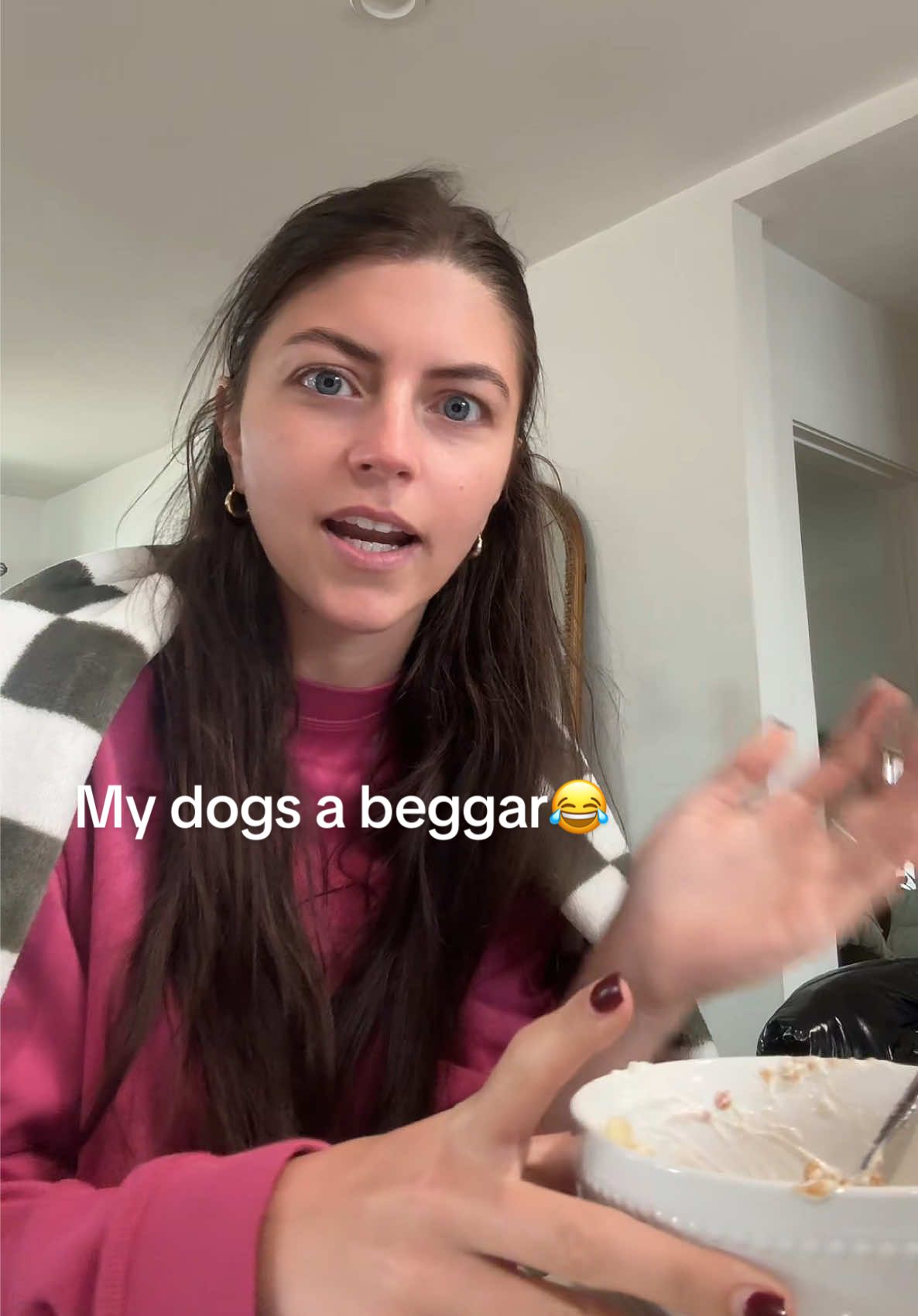 He is this way cuz I always give in to his begging😂😅 #dachshund #funnydog #dogs #begging #stubborndog 