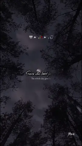 Sara din beet jaye..🥀#fypシ゚ #bollywoodsong #viraltiktok #rahatfatehalikhan #terimeri 