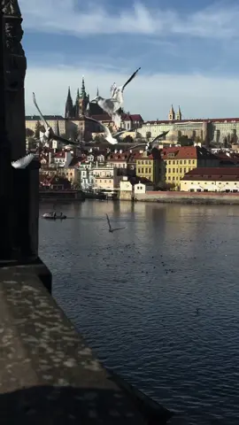 #سفر#اكسبلور #براغ #تشيك🇨🇿 #سفر