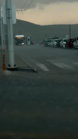 في حلمي، أتيتَ كنسيمٍ لطيف،لمسة من الشوق العذب،كأن الأحلام تنير واقعنا.🤎🍂  . #CapCut #اورفا #ساحة_المدفع_اورفا🍁 