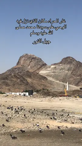 #mekkah🕋🕋🕋 #makkahmadinah🕋 #foryou #fyppppppppppppppppppppppp #رسول_الله_صلى_الله_عليه_وسلم 