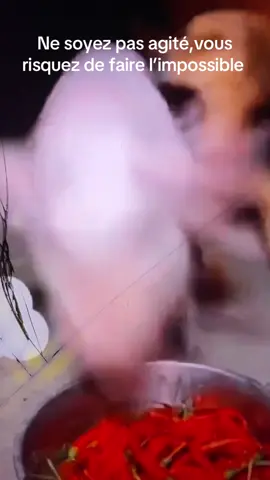 #10000000000000000000 @Maajabu gospel @Afrique mon Afrique @AFRIQUE unis🇧🇫🇲🇱🇳🇪 @worldtalent37 @World Talent Tv @WorldTalents @World Talents🗣 @World Without Words @WORLDVIDEO🌎🇦🇫🇷🇺🇮🇷🇨🇳 @World True Story @Congo d'avenir 🇨🇩 @MUSIQUE DRC🇨🇩 @AFRIQUE PRESSE COMMUNICATION @Afrique aux africains @afriquesportstv @Afrique du Nord 🇲🇦🇲🇫🇩🇿 @Afrique mon Afrique @Afrique Plantes Guérison A.P.G @Afrique Élite @Afrique centrale tv @Afrique mon Afrique 🥰🫀❤️ 