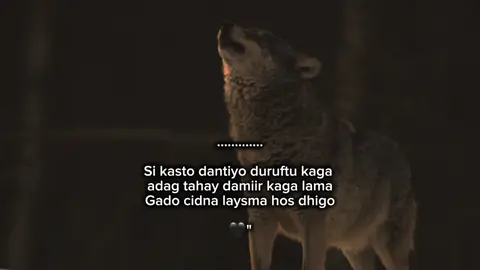 cidna ha is hoos geny. 🖤