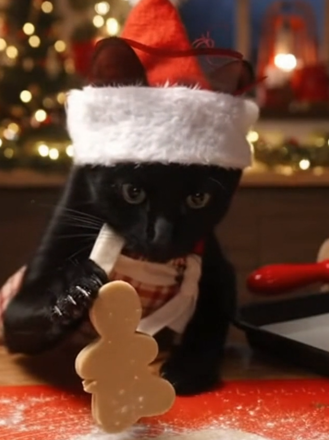 Salem is making Christmas cookies but can't resist eating some of the dough 😂 #catsoftiktok #cats #blackcat #fypシ #Christmas 