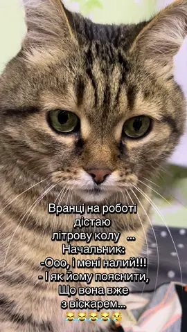 котячіжарти #смішнікотики #котикидлянастрою #мемипрокотів #котикивідео #смішнекотячевідео        