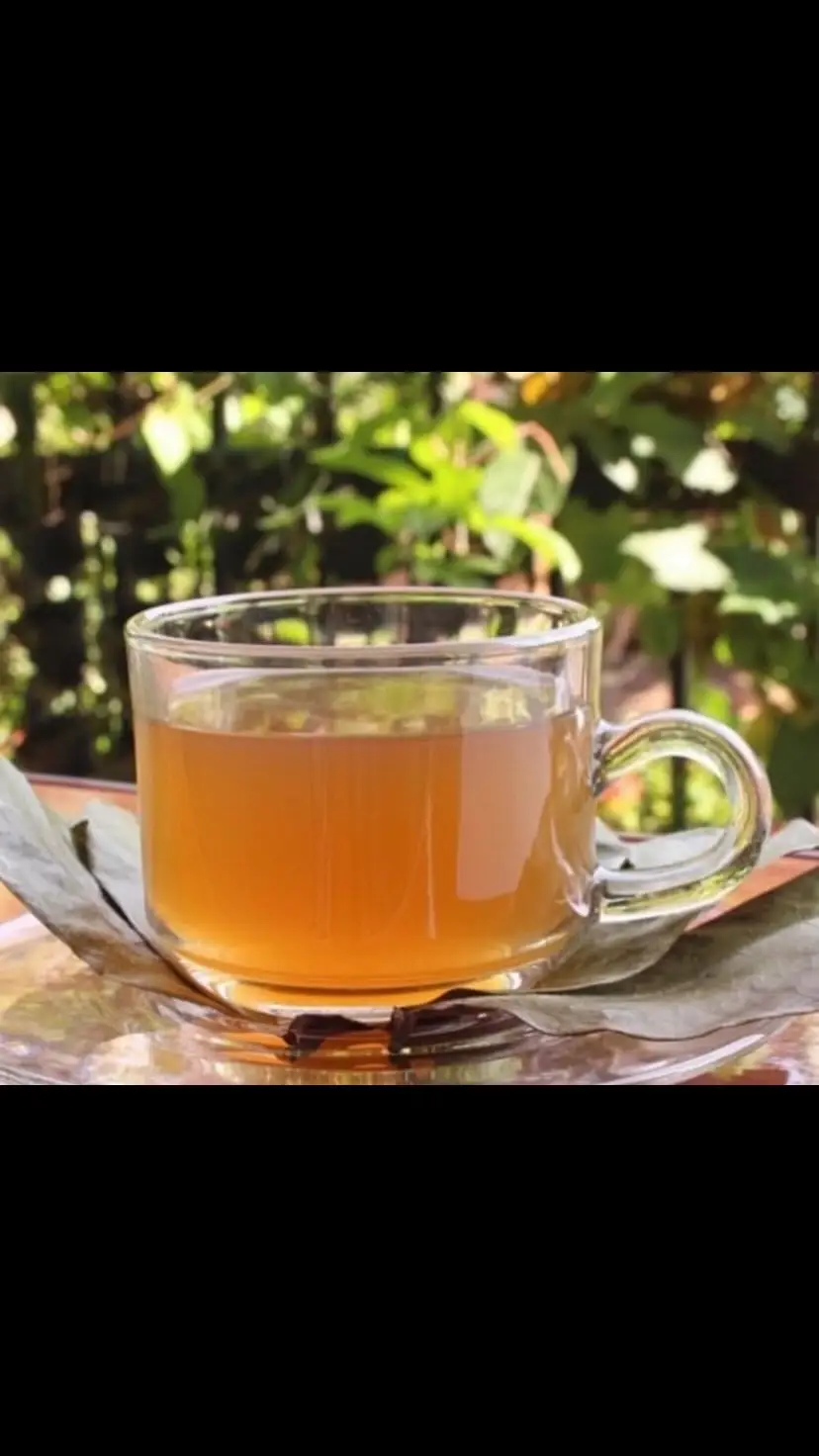 STARERI lina faida mbalimbali kiafya. Hapa kuna ufafanuzi wa madai hayo uliyotaja, pamoja na maelezo ya kisayansi yanayojulikana hadi sasa: 🌿 1. Tiba ya Saratani na Magonjwa ya Ini 	•	Utafiti wa maabara (si wa binadamu bado) umeonyesha kuwa misombo katika soursop, inayoitwa acetogenins, inaweza kuua baadhi ya seli za saratani kwenye maabara. 	•	Hata hivyo, hakuna ushahidi wa kutosha wa kisayansi kwamba soursop inaweza kutibu au kuponya saratani kwa binadamu. 	•	Kwa magonjwa ya ini, soursop ina viambato vya antioxidant ambavyo vinaweza kusaidia kupunguza uharibifu wa chembe za ini, lakini bado haitumiki kama tiba rasmi. 🩸 2. Kinga ya Anemia 	•	Soursop ina vitamini C, folate (B9), na madini kama chuma kwa kiwango kidogo. 	•	Vitu hivi vinaweza kusaidia katika kutengeneza damu mpya na kusaidia watu wenye upungufu wa damu, lakini si tiba kamili ya anemia. 🦴 3. Kuimarisha Afya ya Mifupa 	•	Lina kalsiamu na fosforasi kidogo, ambayo huchangia uimara wa mifupa. 	•	Pia lina viambato vinavyopunguza uchochezi (anti-inflammatory), vinavyoweza kusaidia kupunguza maumivu ya viungo. 🤕 4. Kupunguza Maumivu ya Kipanda Uso & Gout 	•	Misombo ya acetogenins na antioxidants katika soursop inaweza kusaidia kupunguza uchochezi na maumivu. 	•	Kwa gout, soursop husaidia kwa kupunguza mkusanyiko wa asidi ya uric kwa kiasi fulani. 	•	Kwa kipandauso (migraine), athari zake ni za kupunguza maumivu kwa njia ya kupunguza msongo wa neva, lakini si tiba ya moja kwa moja. 💧 5. Tiba ya Jipu & Uvimbe 	•	Majani ya soursop mara nyingine hutumika kwa kutuliza maumivu na uvimbe kwa matumizi ya nje (kama dawa ya asili ya kupaka). 	•	Lakini matumizi haya hayajaidhinishwa rasmi kiafya, hivyo ni muhimu kuwa mwangalifu.. . . . . .#soursop #soursopuk #freshsoursop #soursopleaves #soursoptea                         