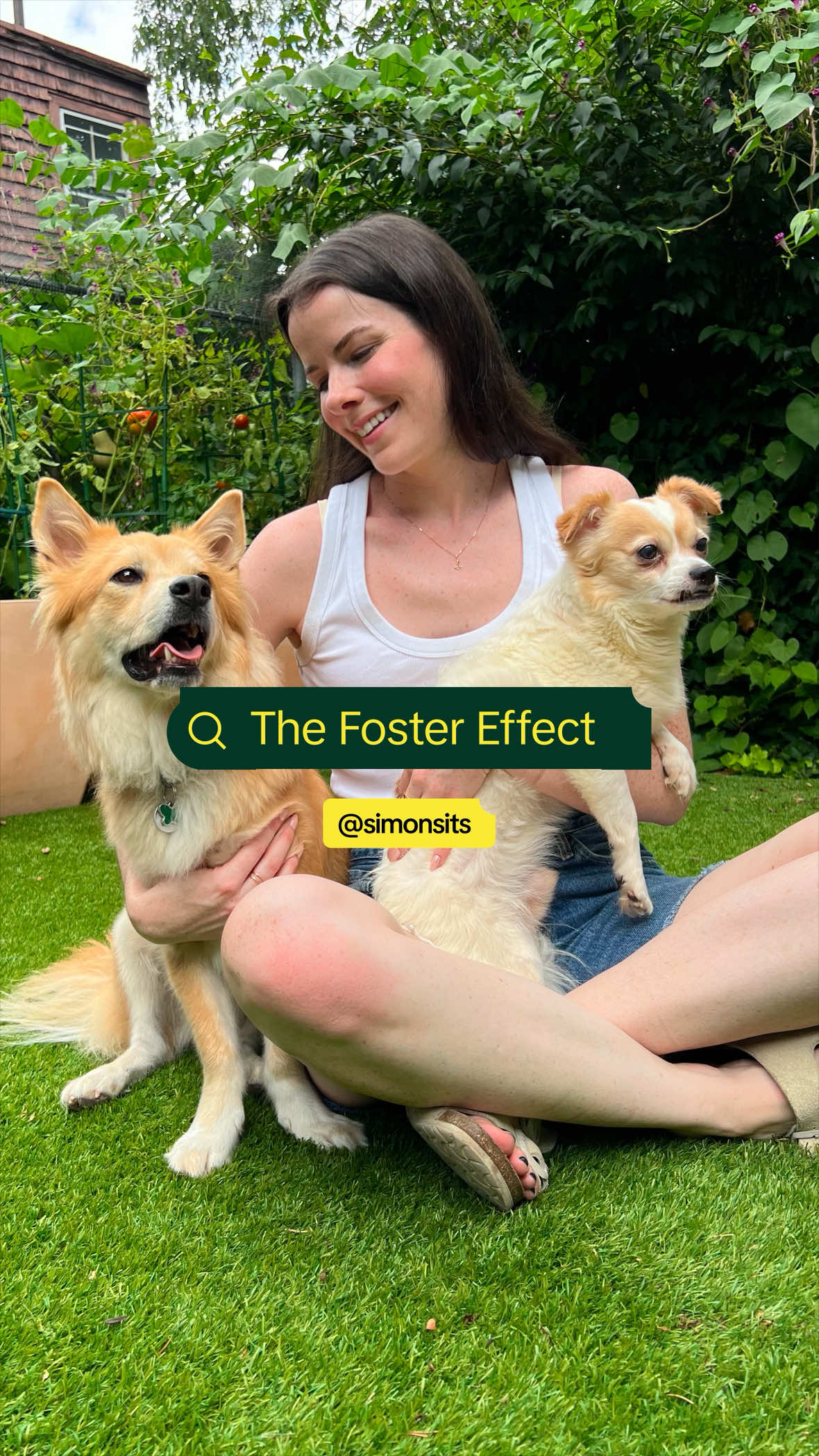 POV: you foster one dog and accidentally start a nationwide movement 😭🐾 @Isabel Klee #TheFosterEffect #TikTokForAll 