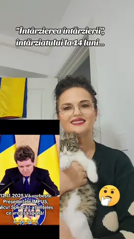 #cincipasidebine #romania #kittycat 