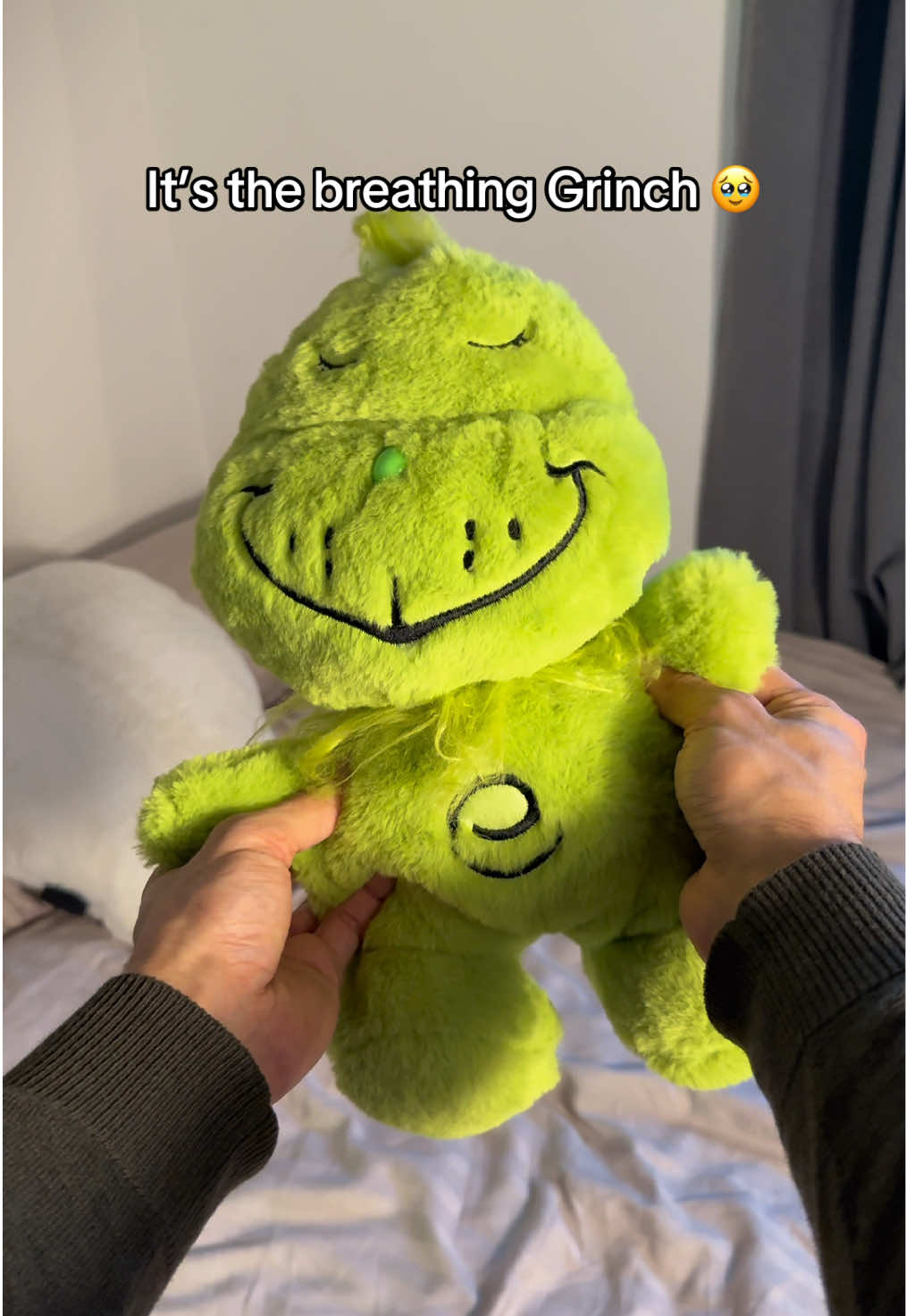 Grinch fans DONT RUN,  WALK to LIDL 😳💚 #grumpy #christmas #grinch #plushies #grinchmas 