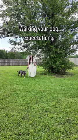 Walking your dog expectations vs reality. If you don’t look like Adam Sandler while walking your dog you’re doing it wrong 🤣 #americanbully #funnydog #dogcontent #funnyvideos #petlover #dogoftheday ##dogmemes #spoileddog #funnydogs #cutedog #dogowner #funnypets #dogs #doghumor Dog life dog humor dogs funny dogs funny pets cute dogs dog mom