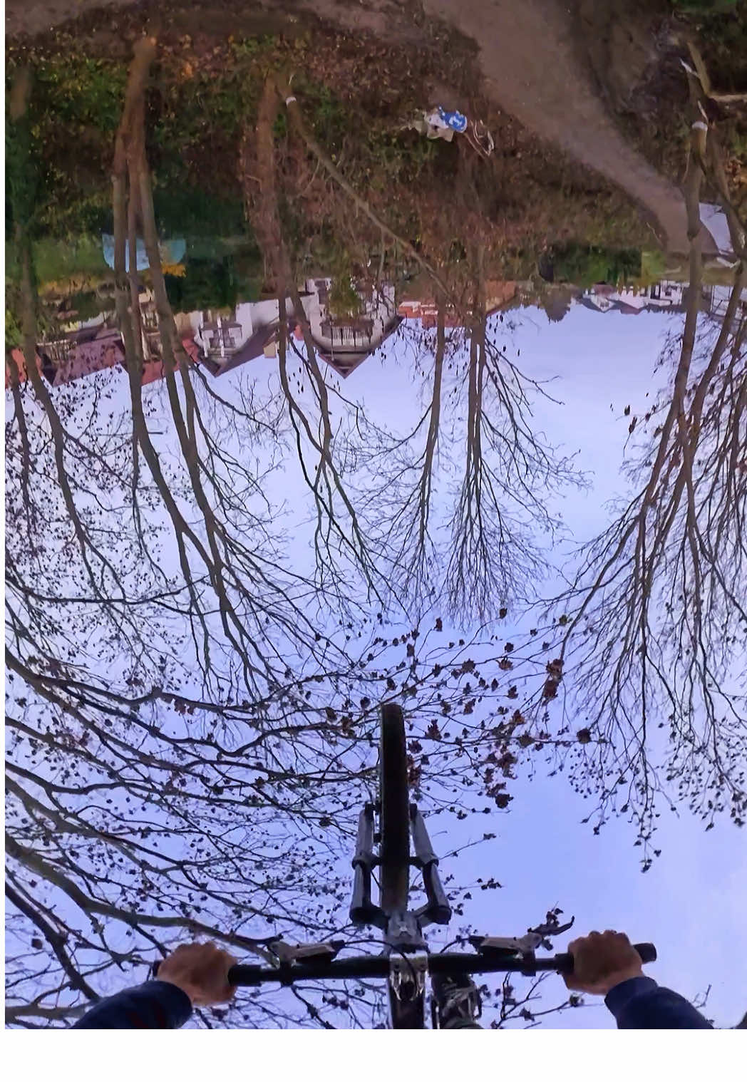 Fast line  #mtb #backflip #foryou #trend #slopeduro 