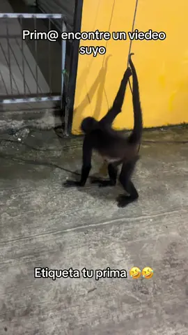 @💗✨️Mary502✨️💗 @🙈MARLENY CU🤍✨️ 