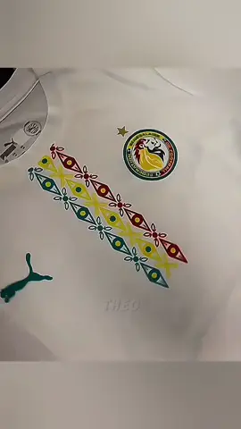 #senegal #senegalrek  #equipenationalesenegal #221🇸🇳 #football 