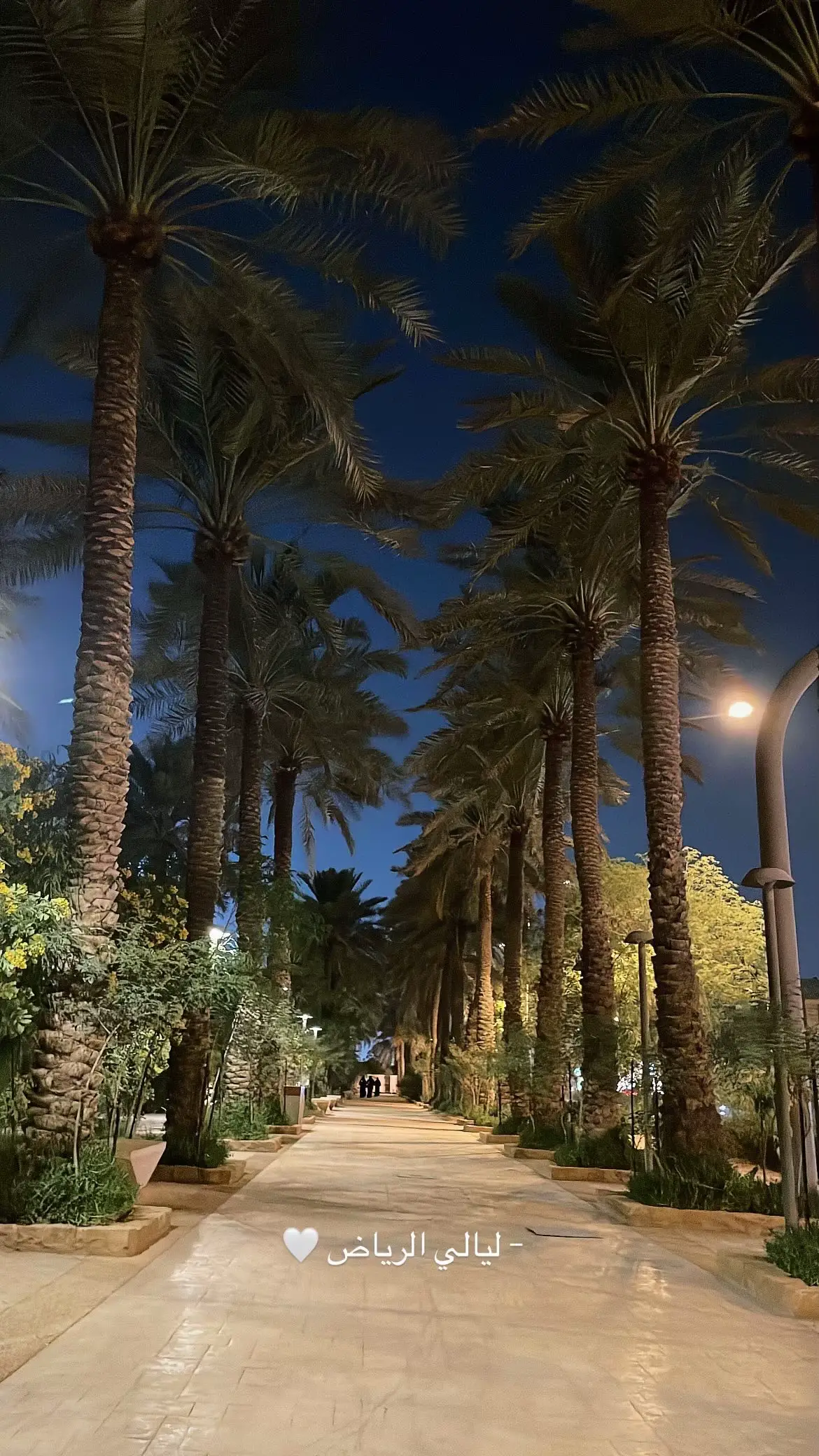 #الرياض  #ممشى_واحة_نجد #الحب❤️ #fyp  #fyppppppppppppppppppppppp 