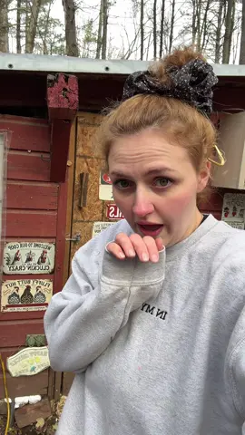 and for the ducks same thing. instead ive added deep straw bedding for them to keep warm in too. #winterizedcoop #chickencoop #fyp 