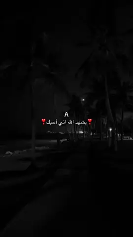 ❣️#حب #fyp #اكسبلور #Love #احبك 