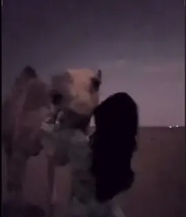 #مسفر_العتيبي #explore #fyp #foryou #edit 