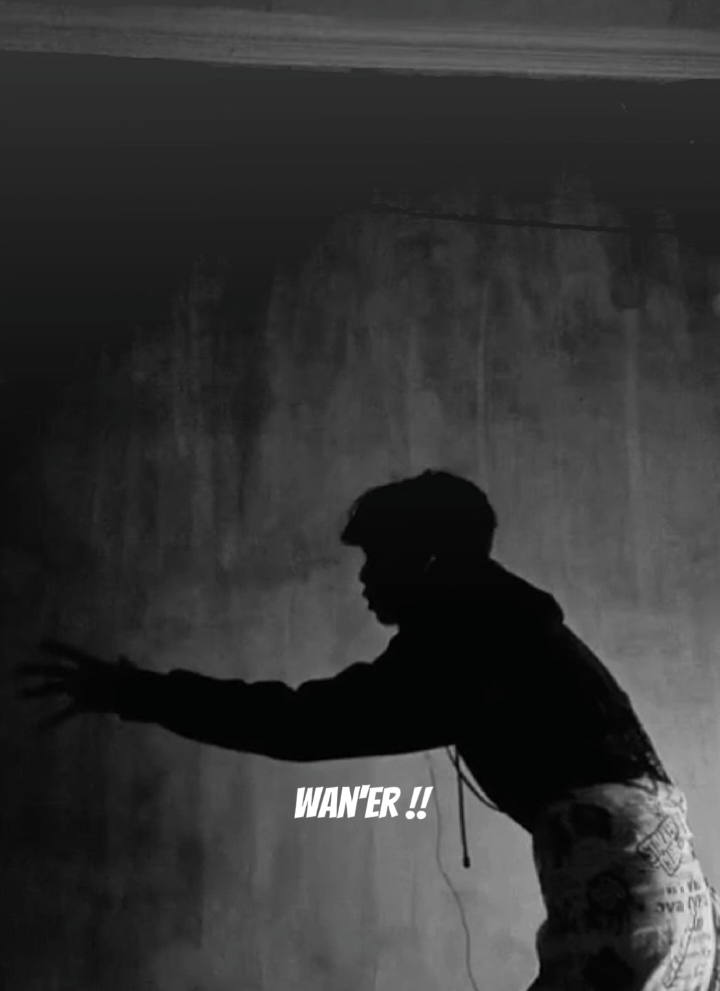 Wanglin mode sad☠️ - - #donghuaedit #renegadeimmortal  #4upageシ #fypシ 