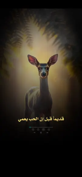 #مشاهدات #طارق_الضبعان #اكسبلور #خواطر_من_القلب #مشاهدات_تيك_توك 