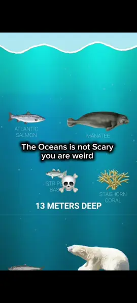 Deep Sea Creatures 😳 #deepsea #scary #ocean #creatures #deep 