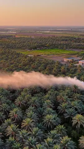 اجواء اليوم 🍃🤍