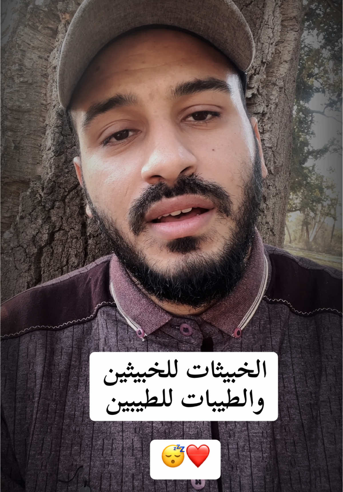 #قران_كريم #قران #quran #القارى_بلال_دربالي سورة النور❤️