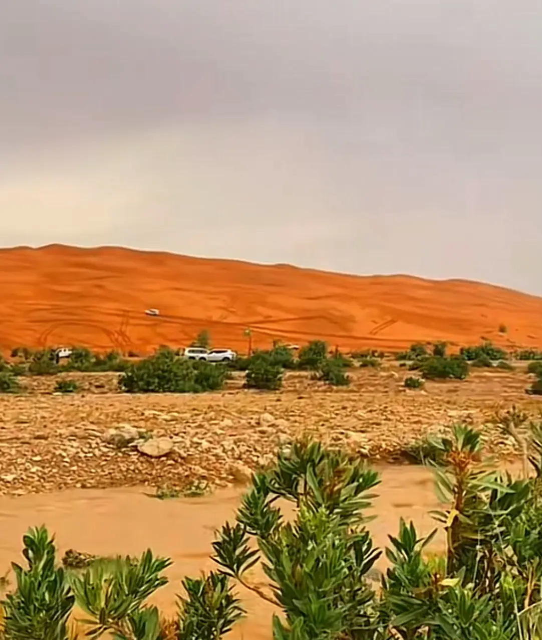 #الحدود_الشماليه_رفحاء #حايل #عرعر #لينه #اكسبلوررررررررر 