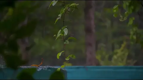 وَمَنْ أَعْرَضَ عَن ذِكْرِي فَإِنَّ لَهُ مَعِيشَةً ضَنكًا﴾ القارئ II محمد صديق المنشاوي  #المنشاوي #قران #quran #اكسبلورexplore #راحة_نفسية 