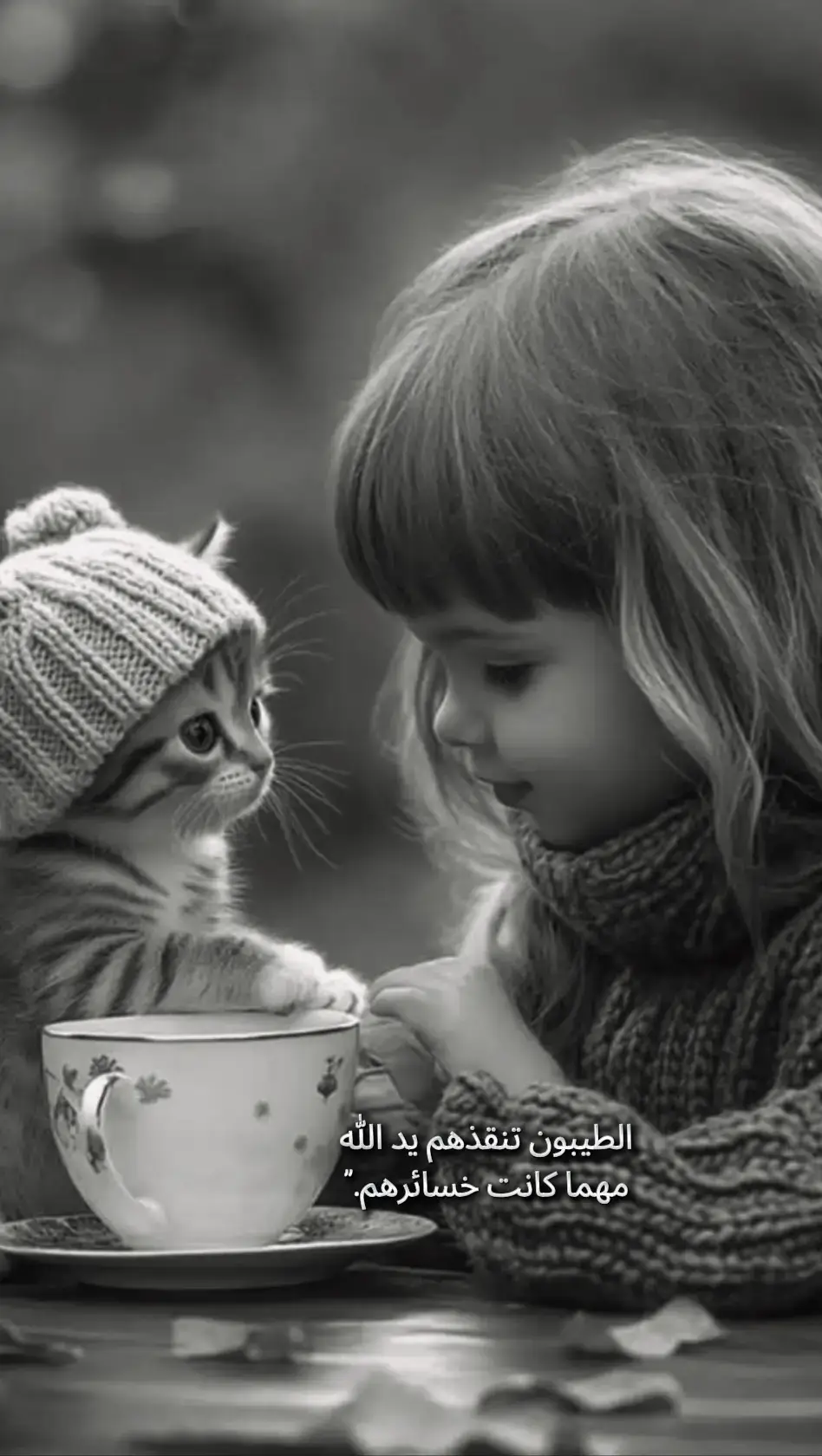 #ارح_قلبك_المتعب_قليلاً🤍💫 