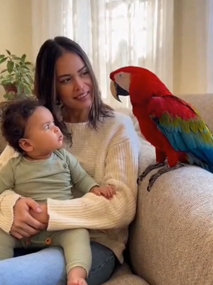 Babagai and Baby’s First Words 🦜👶💕 #SweetMoment #TalkingParrot #BabyAndParrot #ViralVideo #FamilyLove#Epstein #unitedstates #usatoday #american #unitedontiktok #usarmy #unitedsta #Steammachine #VirginiaGiuffre