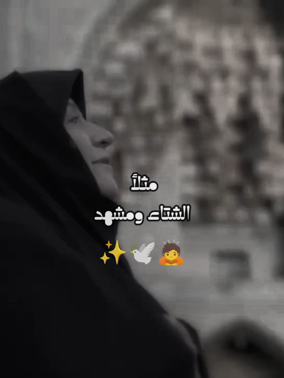 مثلأ الشتاء ومشهد ✨🕊️🙇 #الامام_الرضا #الشتاء #قصايد  #شعب_الصيني_ماله_حل😂😂 #fyp 